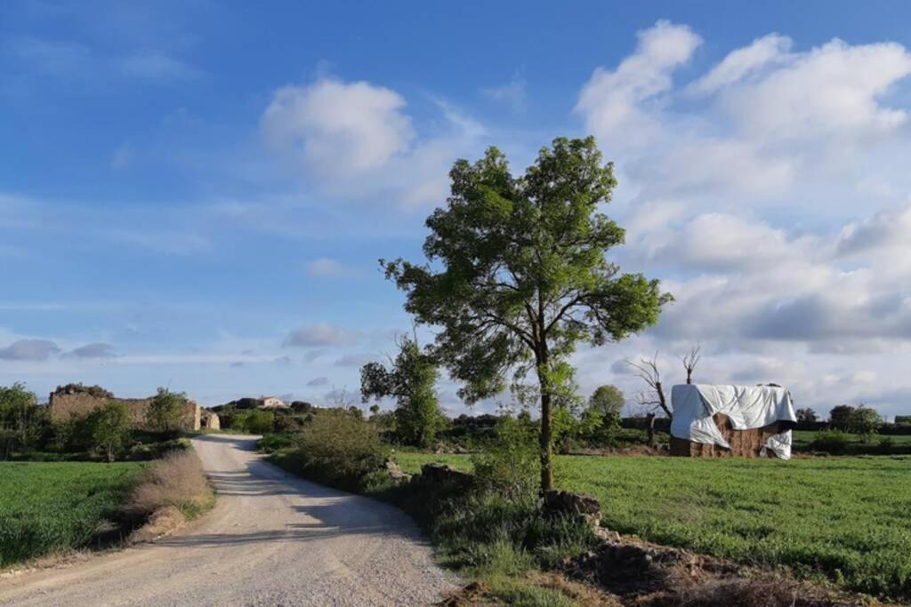 Cal Bello Casa Rural Lleida Exteriér fotografie