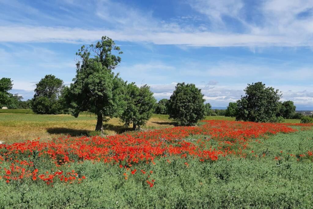 Cal Bello Casa Rural Lleida Exteriér fotografie