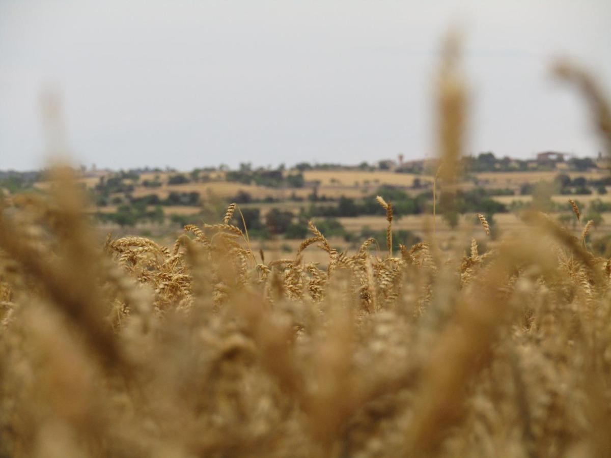 Cal Bello Casa Rural Lleida Exteriér fotografie